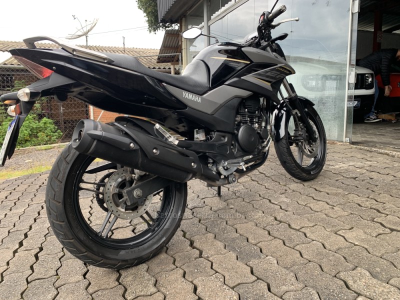 FAZER YS 250 BLUEFLEX