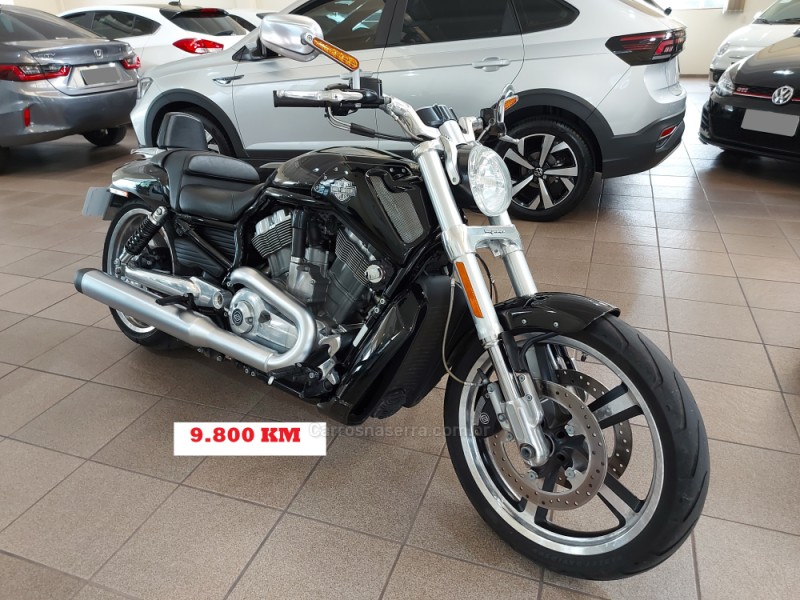 v rod muscle  2013 novo hamburgo