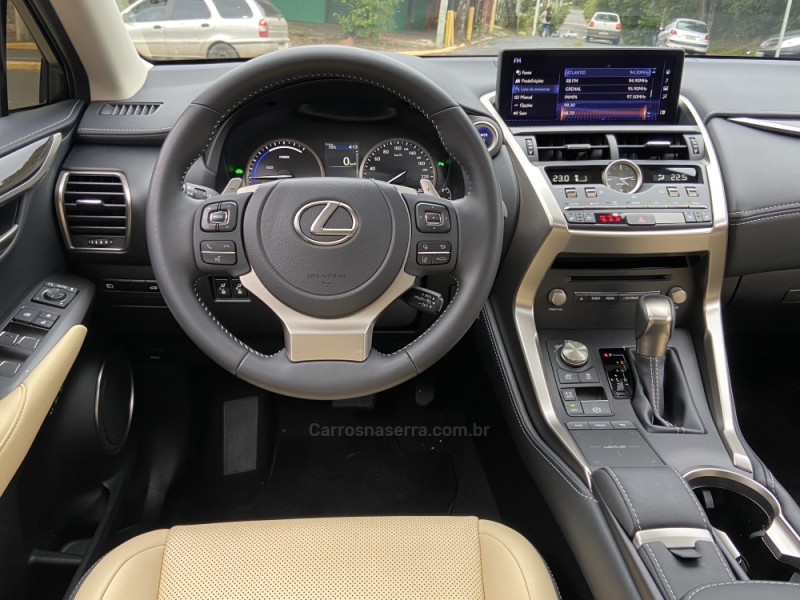 NX300 H 2.0 LUXURY 16V HÍBRIDO 4P AUTOMÁTICO - 2021 - CAMPO BOM