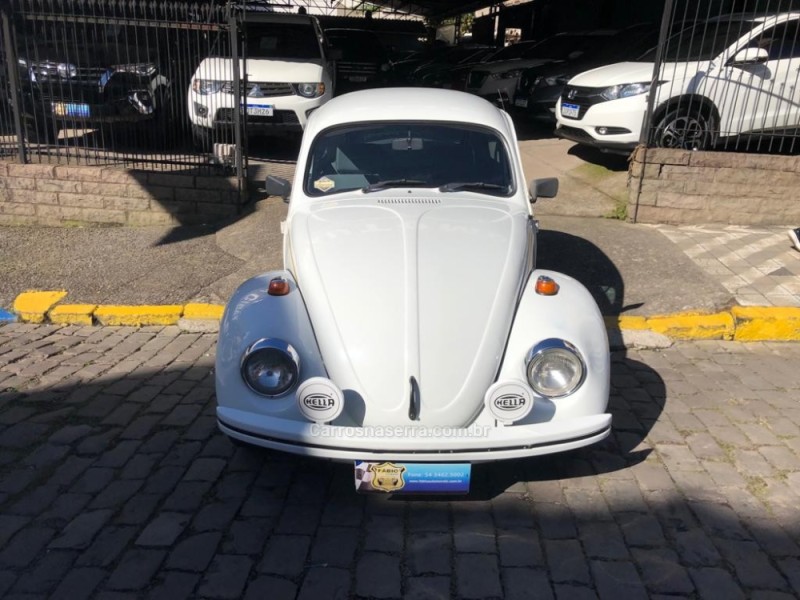 FUSCA 1.6 8V GASOLINA 2P MANUAL - 1995 - GARIBALDI