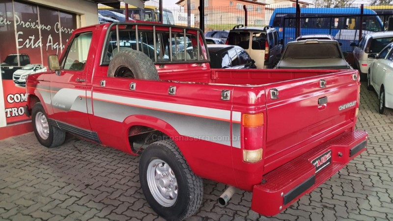 D20 4.0 CUSTOM S CS 8V DIESEL 2P MANUAL - 1991 - CAXIAS DO SUL