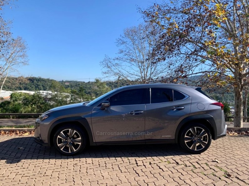 UX 250H 2.0 16V LUXURY HÍBRIDO 4P AUTOMÁTICO - 2021 - DOIS IRMãOS