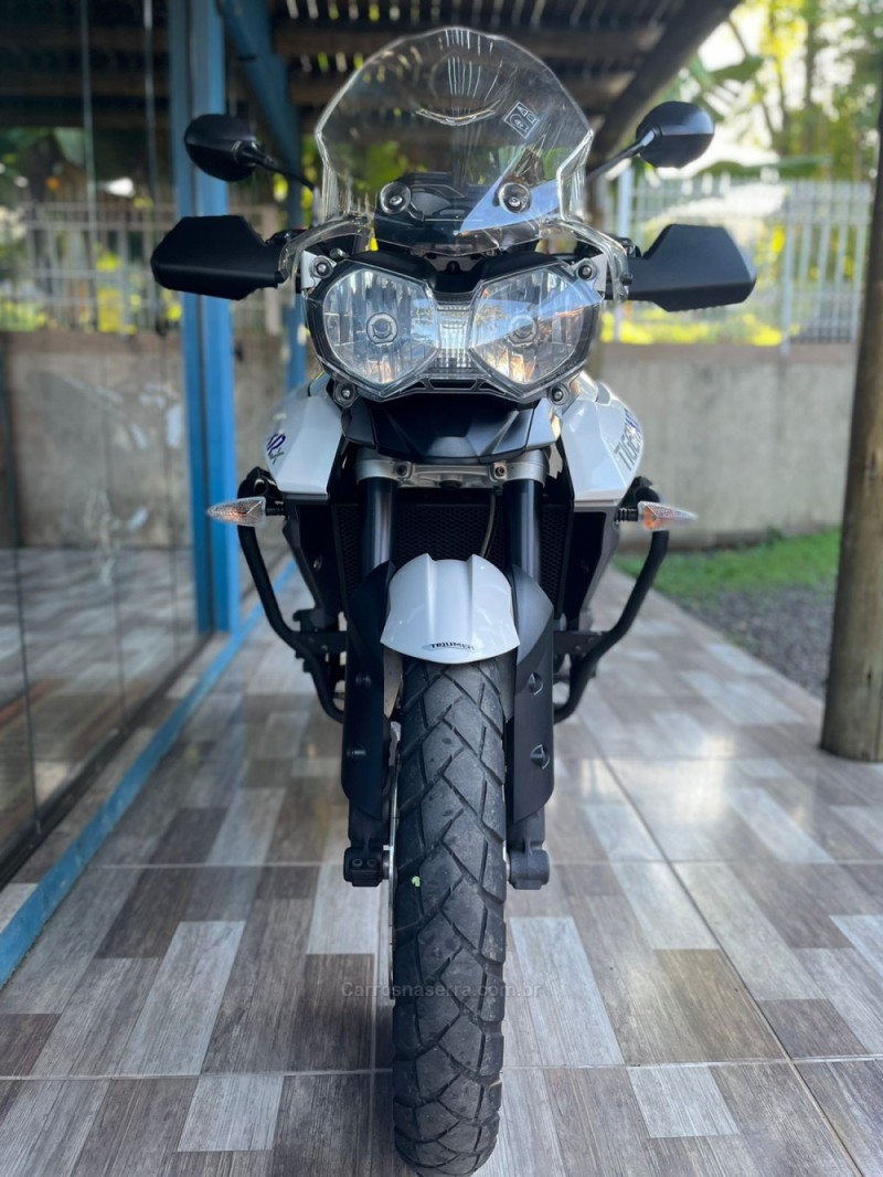 TIGER 800 XRX - 2016 - TRêS COROAS