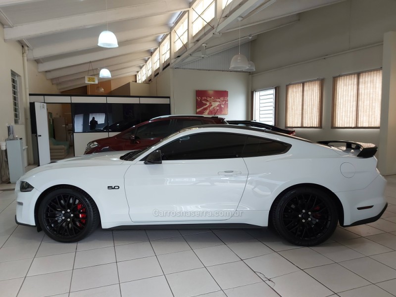 MUSTANG 5.0 GT PREMIUM COUPÉ V8 32V GASOLINA 2P AUTOMÁTICO - 2019 - NOVO HAMBURGO