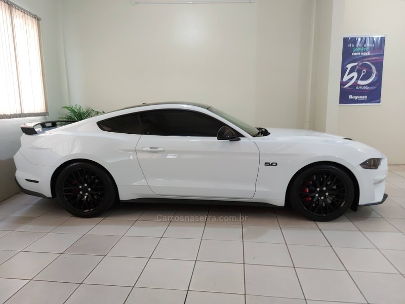 MUSTANG 5.0 GT PREMIUM COUPÉ V8 32V GASOLINA 2P AUTOMÁTICO - 2019 - NOVO HAMBURGO