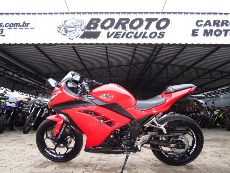 ninja 300  2014 bento goncalves