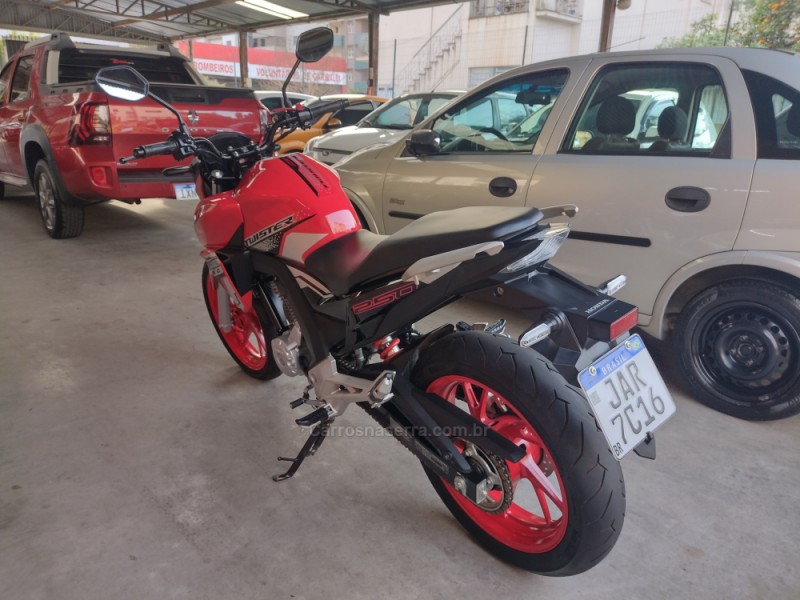 CB 250F TWISTER CBS - 2021 - GARIBALDI