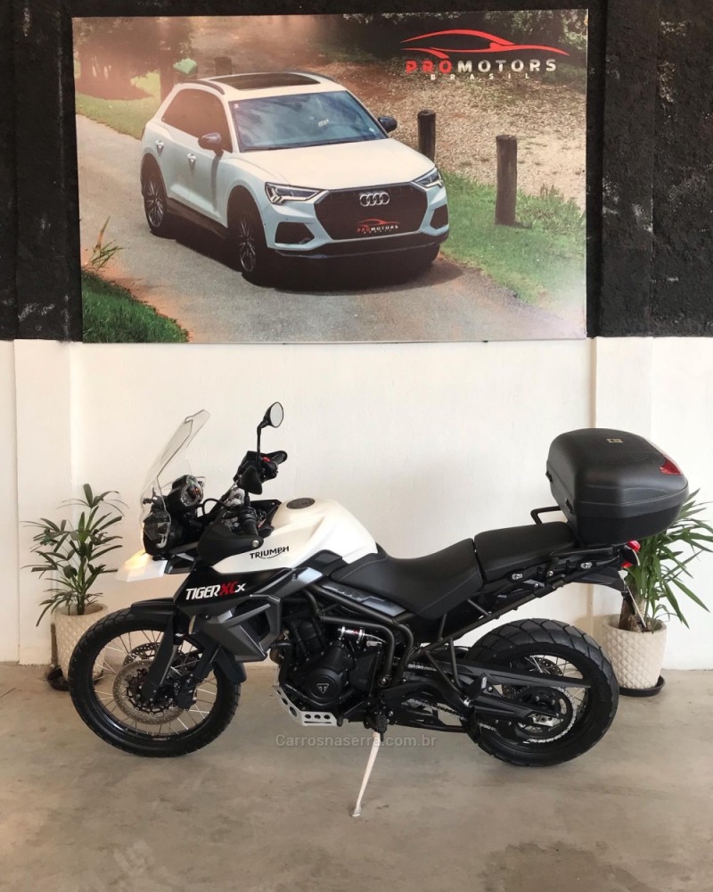 TIGER 800XC  - 2017 - NOVO HAMBURGO