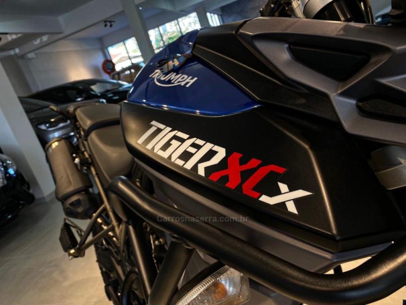 TIGER 800 XCX  - 2017 - CAXIAS DO SUL