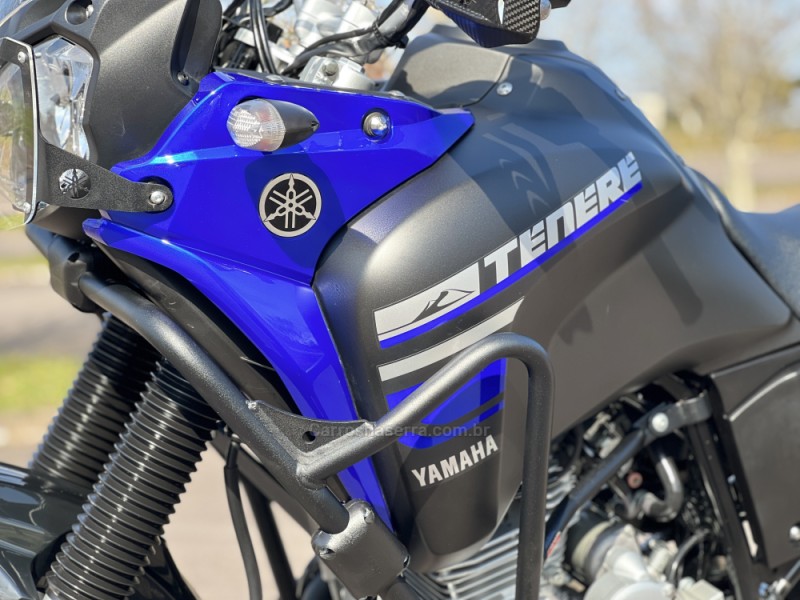 XTZ 250 TÉNÉRÉ BLUEFLEX - 2019 - BENTO GONçALVES