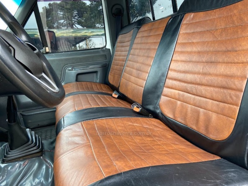 F-1000 3.9 BLAZER DIESEL 2P MANUAL - 1993 - CANELA