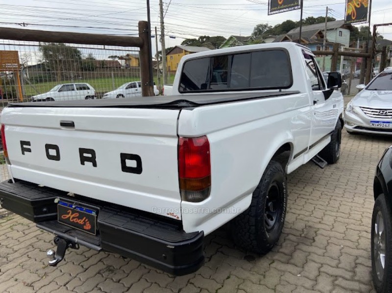F-1000 3.9 BLAZER DIESEL 2P MANUAL - 1993 - CANELA