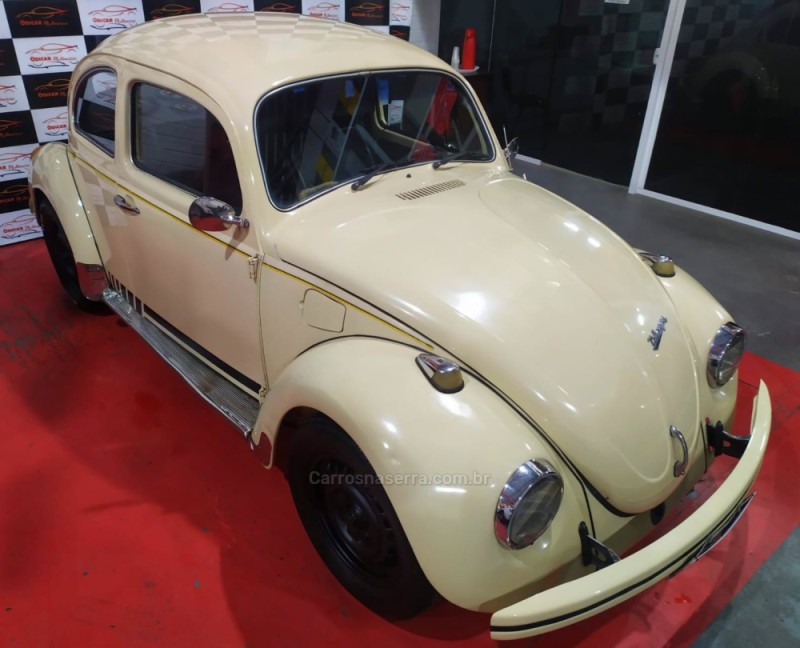 FUSCA 1.6 8V GASOLINA 2P MANUAL
