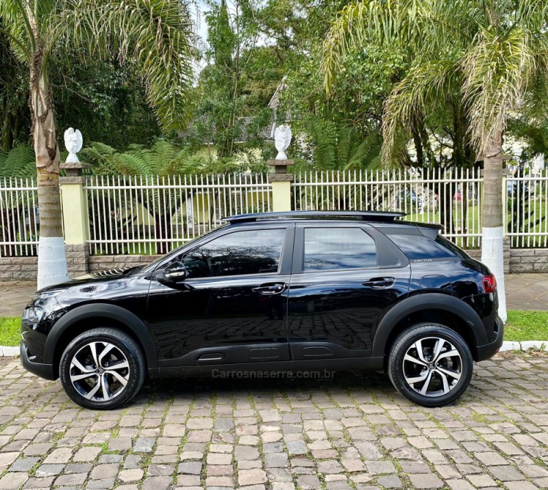 C4 CACTUS 1.6 THP SHINE PACK FLEX 4P AUTOMATICO - 2019 - CANELA