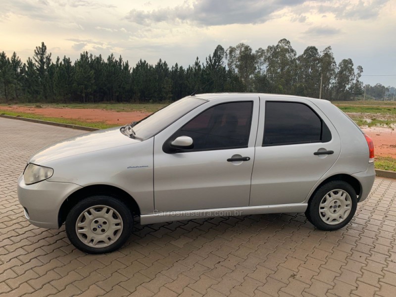 PALIO 1.0 MPI FIRE CELEBRATION 8V FLEX 4P MANUAL - 2007 - PORTãO