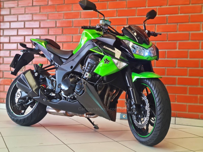z 1000 abs 2013 sapiranga