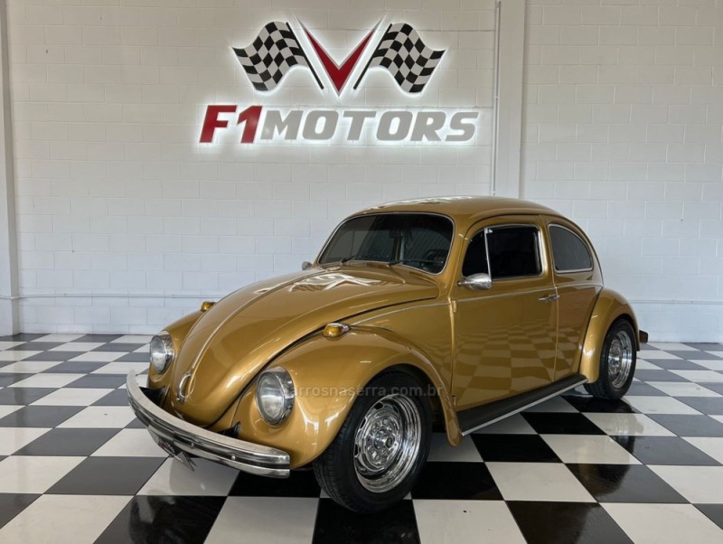 FUSCA 1.5 8V GASOLINA 2P MANUAL - 1973 - MONTENEGRO