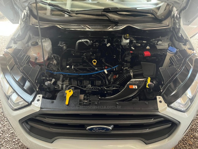 ECOSPORT 1.5 TIVCT FLEX FREESTYLE AUTOMÁTICO - 2019 - GARIBALDI