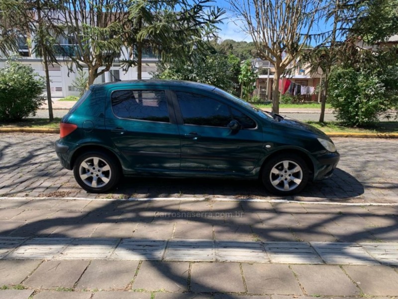 307 1.6 PASSION 16V GASOLINA 4P MANUAL - 2003 - FARROUPILHA