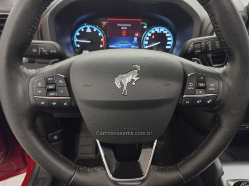 BRONCO  - 2021 - FLORES DA CUNHA