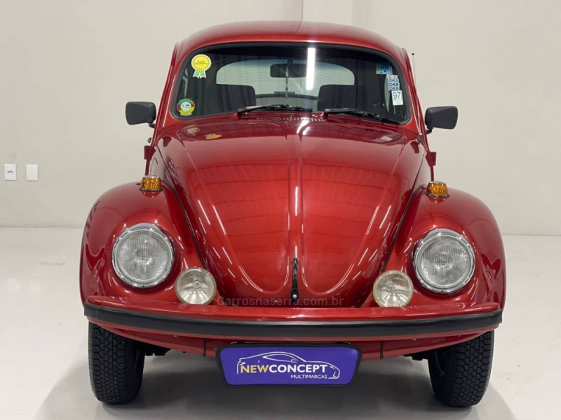 FUSCA 1.6 SÉRIE OURO 8V GASOLINA 2P MANUAL - 1996 - NOVO HAMBURGO