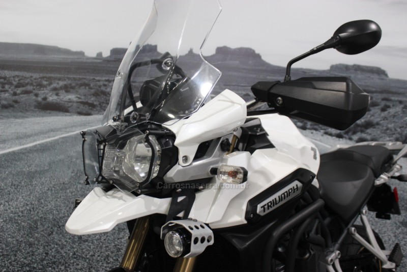 TIGER EXPLORER ABS - 2014 - LAJEADO