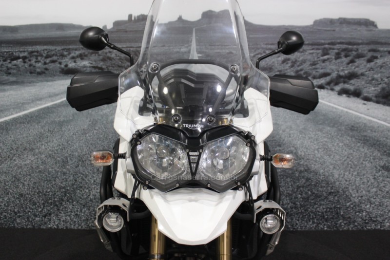TIGER EXPLORER ABS - 2014 - LAJEADO