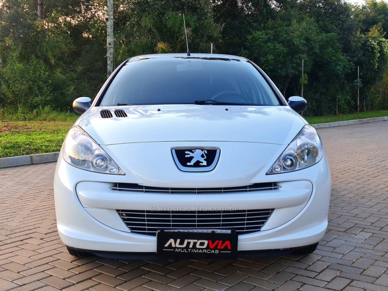207 1.4 XR 8V FLEX 4P MANUAL - 2013 - SAPIRANGA
