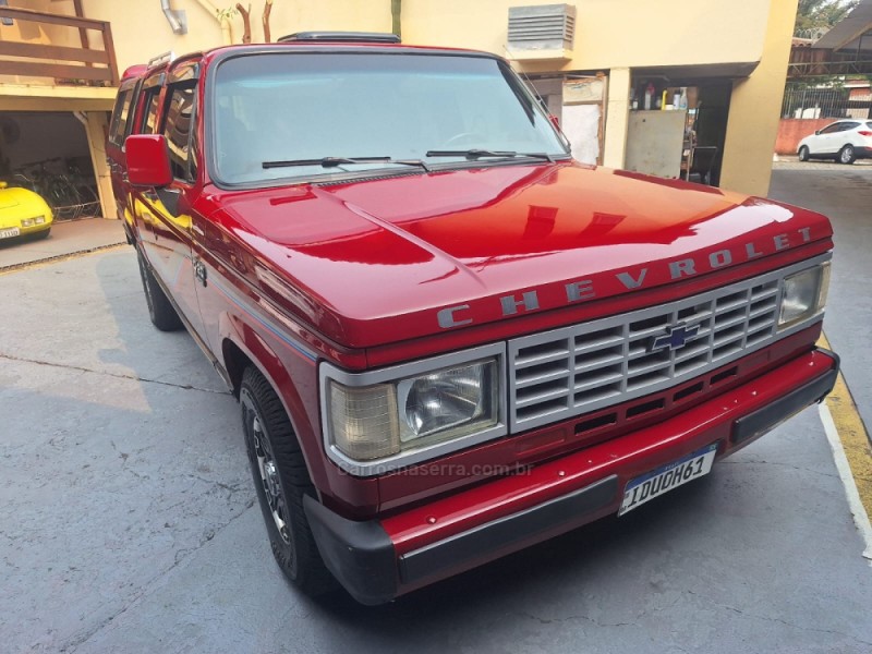 D20 4.0 CUSTOM S CD 8V TURBO DIESEL 4P MANUAL - 1991 - BENTO GONçALVES