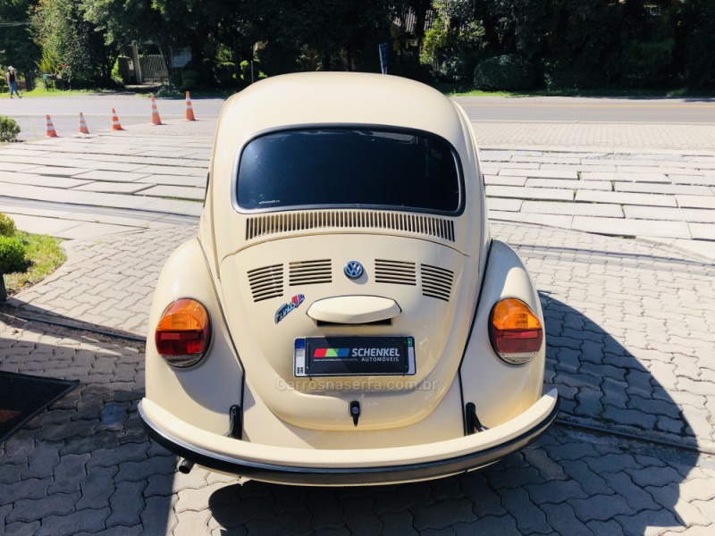 FUSCA 1.6 8V GASOLINA 2P MANUAL - 1994 - NOVA PETRóPOLIS