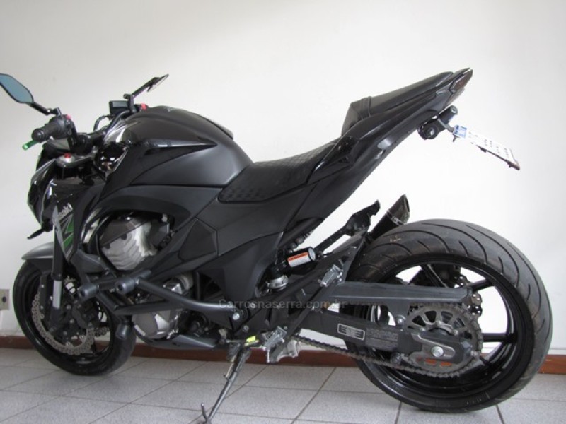 Z800  - 2013 - FARROUPILHA