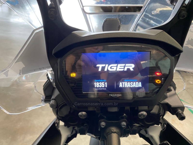 TIGER 800 XCX  - 2019 - FLORES DA CUNHA