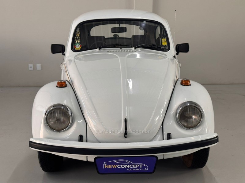 FUSCA 1.6 8V GASOLINA 2P MANUAL - 1995 - NOVO HAMBURGO