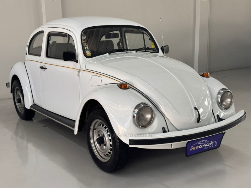 FUSCA 1.6 8V GASOLINA 2P MANUAL - 1995 - NOVO HAMBURGO