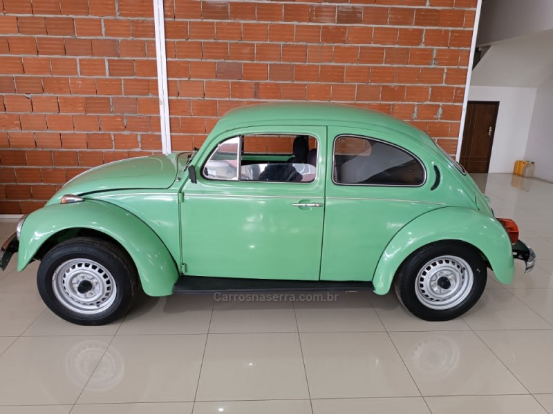 FUSCA 1.3 L 8V GASOLINA 2P MANUAL - 1980 - NOVA PETRóPOLIS