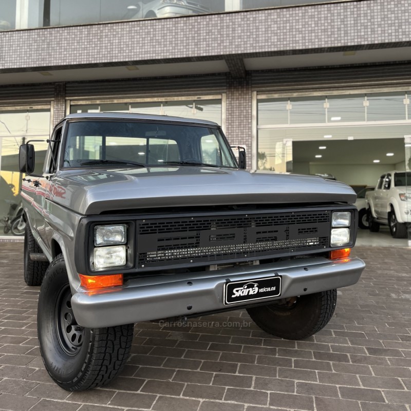 F-1000 3.9 SUPER SÉRIE CS 8V DIESEL 2P MANUAL - 1989 - VACARIA