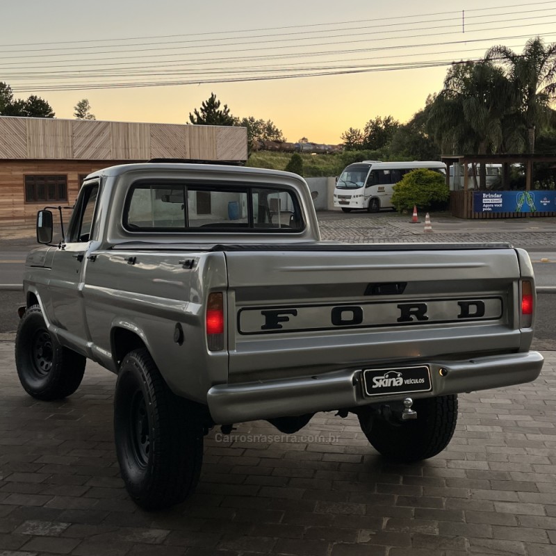 F-1000 3.9 SUPER SÉRIE CS 8V DIESEL 2P MANUAL - 1989 - VACARIA