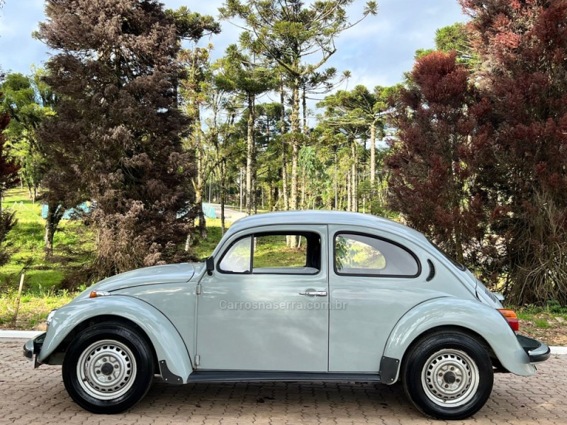 FUSCA 1300 - 1981 - CANELA