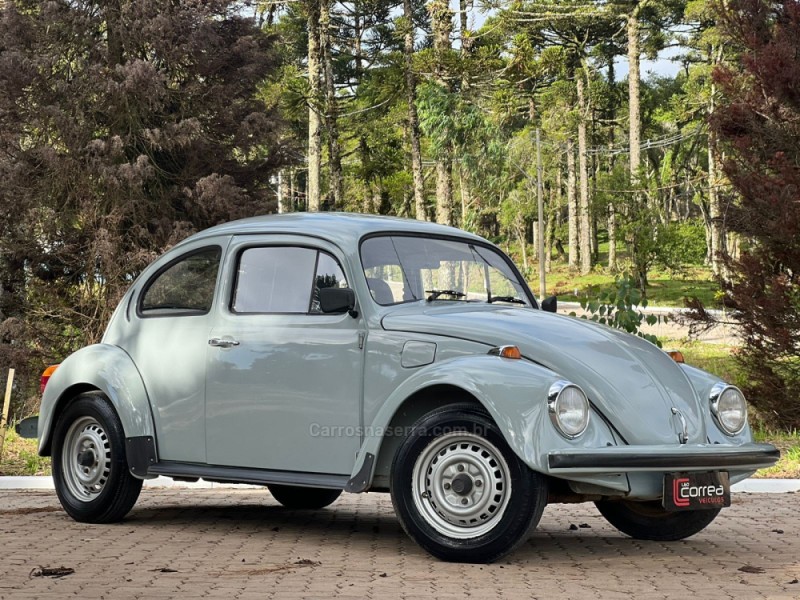 FUSCA 1300 - 1981 - CANELA