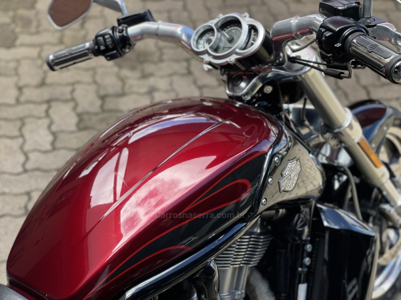 V-ROD MUSCLE  - 2015 - FARROUPILHA