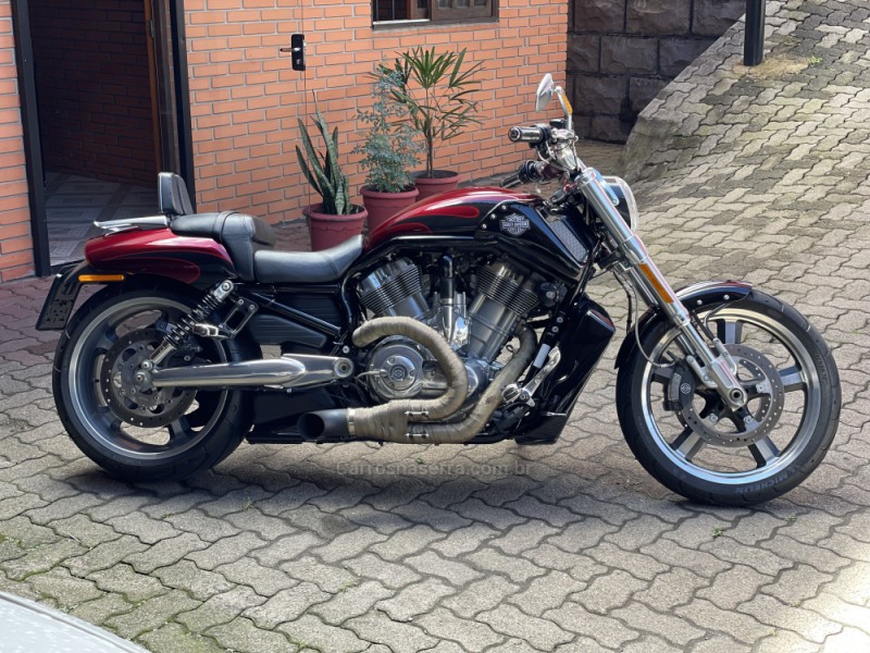 V-ROD MUSCLE  - 2015 - FARROUPILHA