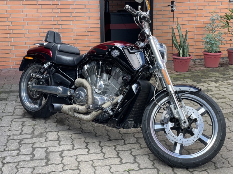 V-ROD MUSCLE  - 2015 - FARROUPILHA